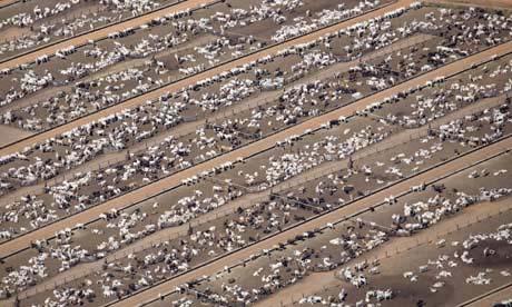 Environmental Impact Livestock production accounts for 70% of all agricultural land use and