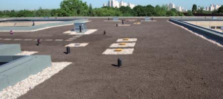 Planting soil may be applied directly. High drainage capacity for intensive green roofs.