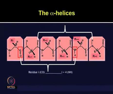 (Refer Slide Time: 09:32) Alpha helix can be stabilized by the Hydrogen bond, so the carbonyl group of each amino acid with NH group of amino acid which are 4 residues ahead in the sequence, they