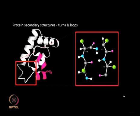 (Refer Slide Time: 17:08) Beta turns which are the most commonly observed turn structures consist of rigid, welldefined structures that usually lie on the surface of the protein molecule and interact