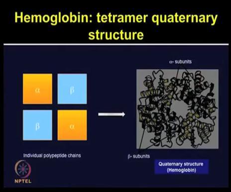 (Refer Slide Time: 20:04) So, quaternary structures represent final level of protein structures which is special arrangement of subunits and their interactions.