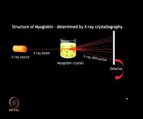 (Refer Slide Time: 25:02) When the beam of X-ray was passed through the crystals of Myoglobin some part of the beam was found to pass straight
