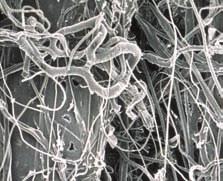 Unique polypropylene melt blown media Incorporates a proprietary CoLD Melt fiber technology for