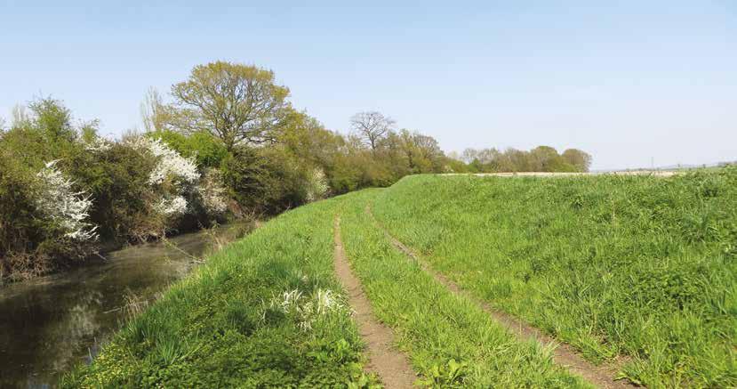 Foreword Since its inception in 2012, the South Essex Catchment Partnership has been chaired by the Thames Chase Trust.