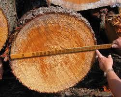 .. If the log measures 7 diameter on the small end and is 10 in