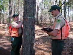 Foresters utilize a variety of specialized tools to accomplish the following tasks: Measure trees Conduct