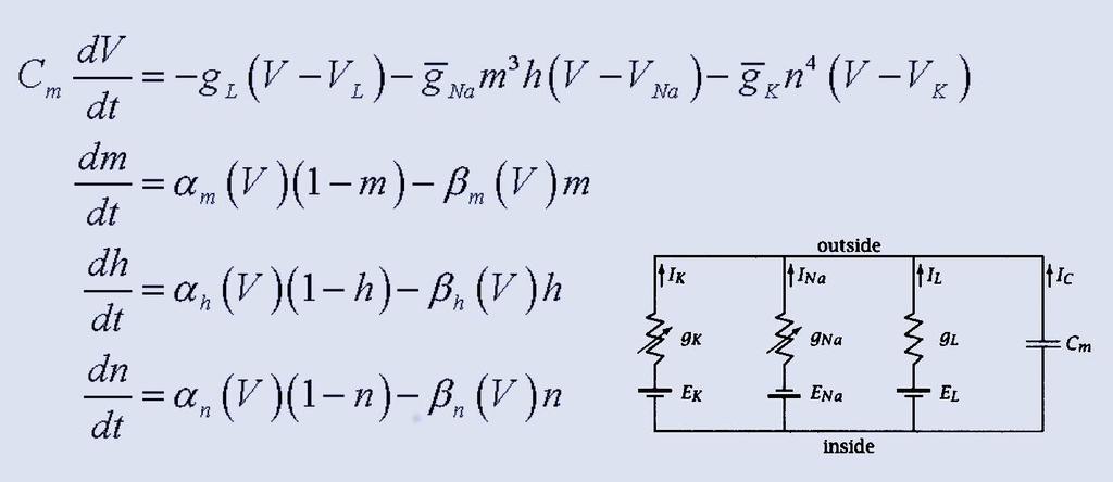 Hodgkin-Huxley Equations a set of 4th-order