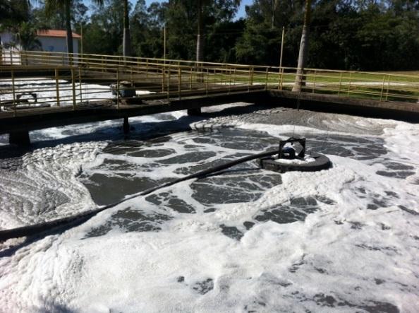Case Study: ETE Flowers - Brazil The solution The technology Unique Floating Fine Bubble Aeration System, innovative, patented and cost effective, modular system that can be installed in any lagoons