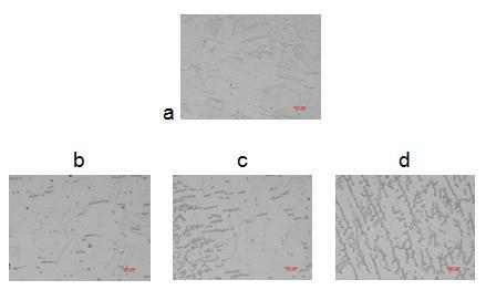 metal. C. Metallographic Testing Figure 7 shows micrographs for the microstructure of as received and three welded zones of austenitic stainless steel samples.