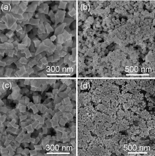 Figure S10. SEM images of concvae gold nanocrystals prepared in growth solutions containing (a) 0.05, (b) 0.2, (c) 0.