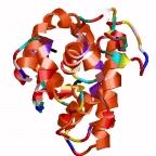 Protein Primary structure is a sequence.