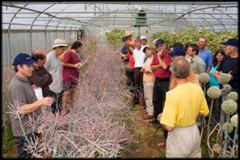 Network cooperation in practice important fundamentals: information exchange at the meetings two times a year: about seed production, costs and prices, projects, varieties, strategies Summer: