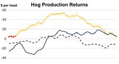 Hog Profitability and Weights Spot producer margins are near $5 per head average expected margin for 2014 is over $30 per hear (based on futures) Producers look to take advantage of profitable