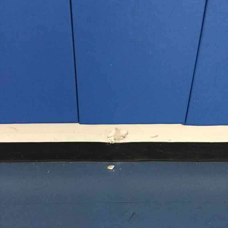 GYMNASIUM Walls Photo1 NYC Department of Education Building Assessment Survey 2017-2018 Window Curtains/Shades/Blinds DOOR HARDWARE GUARDS KITCHEN LIBRARY LOCKER ROOM Instance on Sub-Cellar - Men's