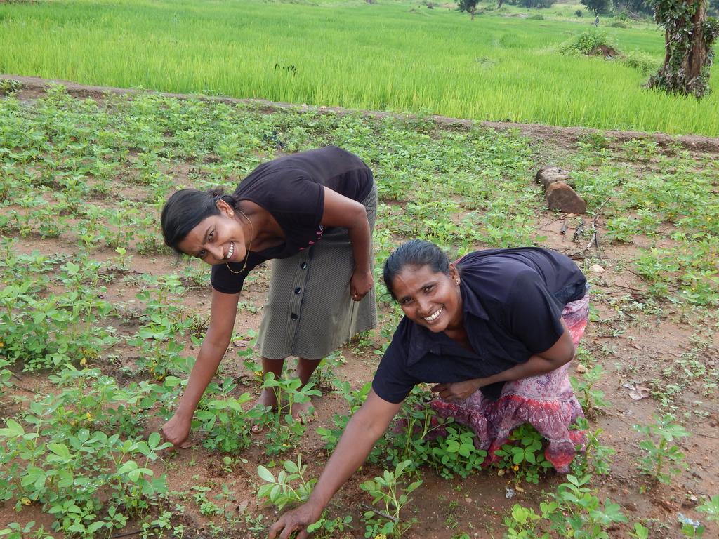 LINKING THE BOTTOM TO THE TOP: How Smallholder Farmers Contribute to