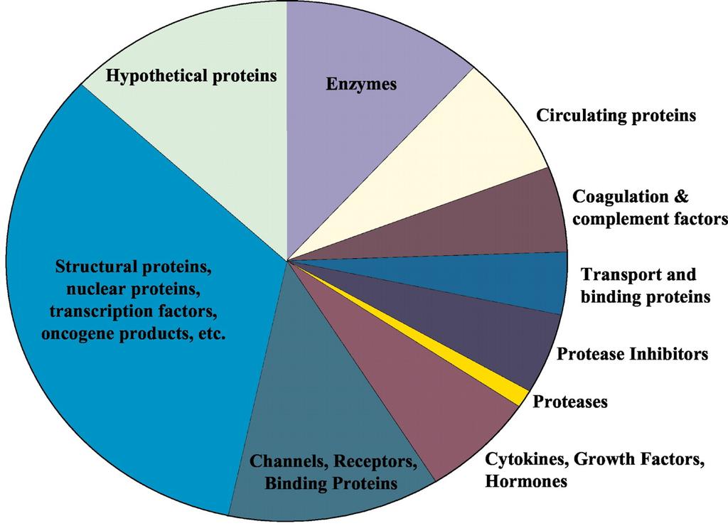 Relative numbers of proteins identified within the LMW serum proteome Tirumalai, R. S. (2003) Mol.
