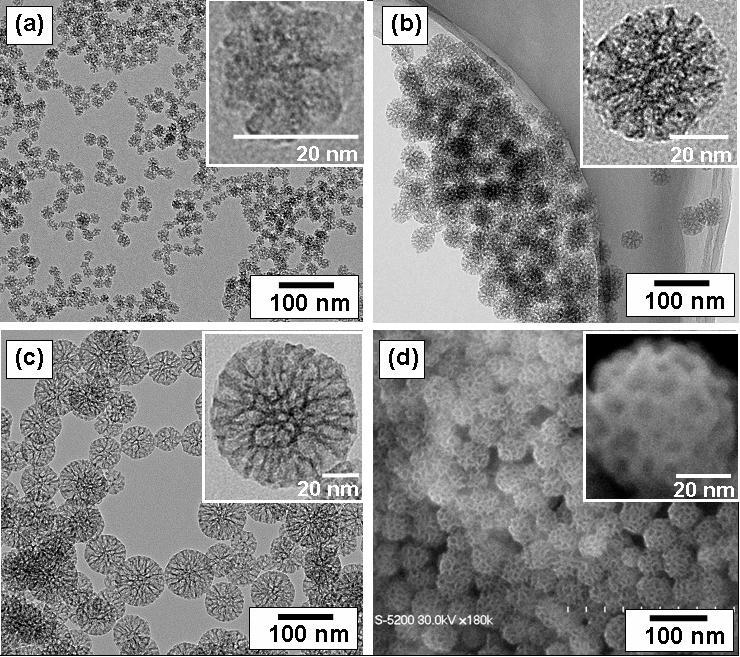 Silica nanoparticles Size (nm) Characteristics Applications <100 Very large