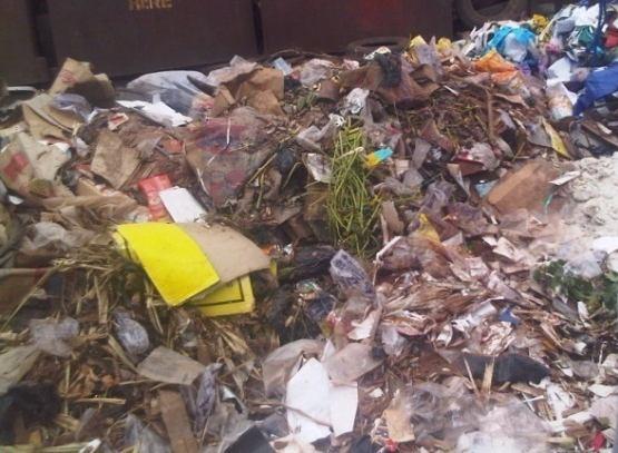 The challenges and changes in quantity and quality of the Municipal Solid Waste in Nigeria has reported in, [4-9].