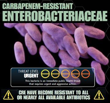 Serious 1 1 CDC Antibiotic Resistance Threats in the United States,