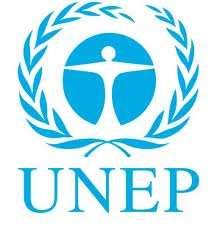 management Scientific assessments and advice, networks Sciencepolicy interface UNEP SECRETARIAT Direction, procedures, support in