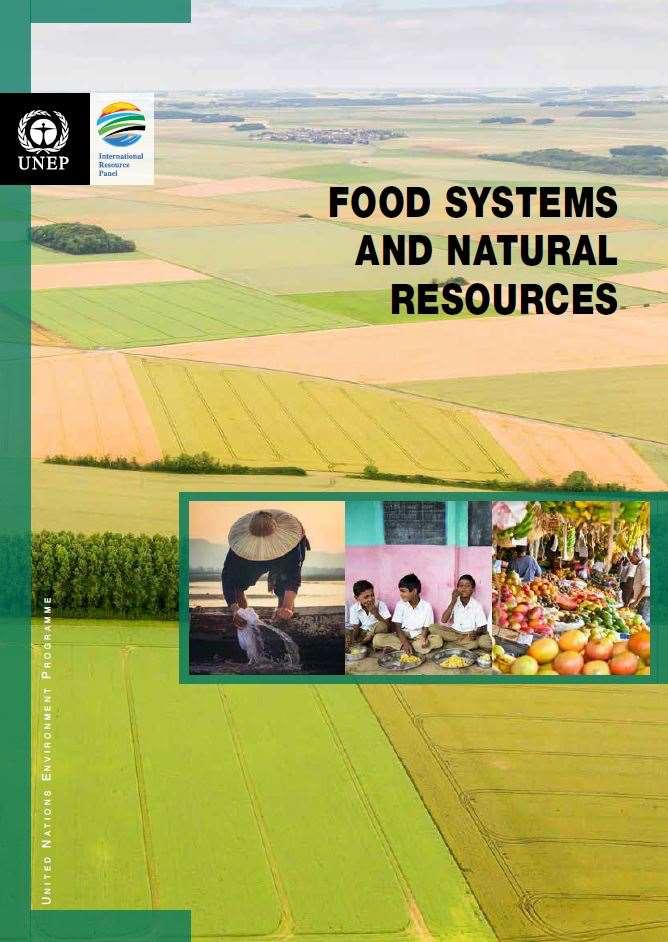 resource efficiency prospects and economic implications (2016) Food Systems