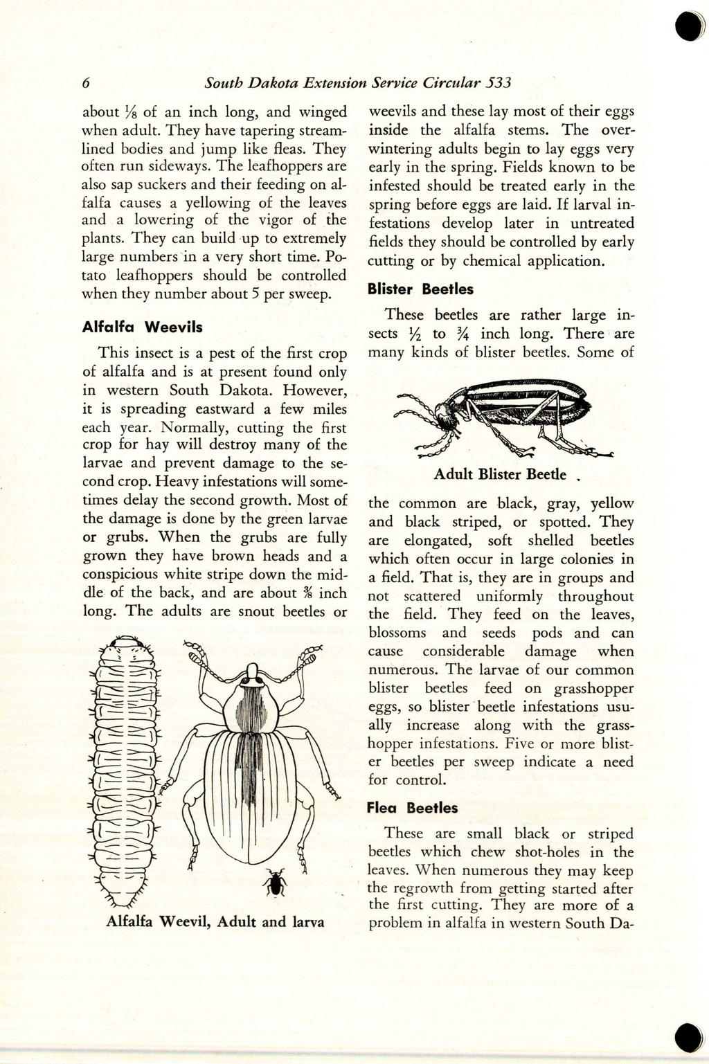 6 South Dakota Extension Service Circular 533 about ¼ of an inch long, and winged when adult. They have tapering streamlined bodies and jump like fleas. They often run sideways.