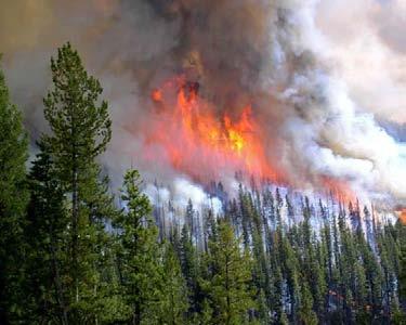 Potential Effects of Climate Change on Mixed Severity Fire Regimes of the Western U.S. Jessica E.