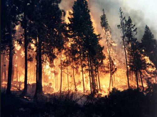 fuel moisture longer fire seasons increased fire