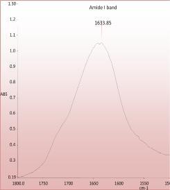 Figure 3. FTIR spectra of milk clotting enzyme from Bacillus Sp and Bacillus Sp (UV mutated) Conclusion The production of milk clotting enzyme by A.niger, A.flavus, B.subtilis, and B.