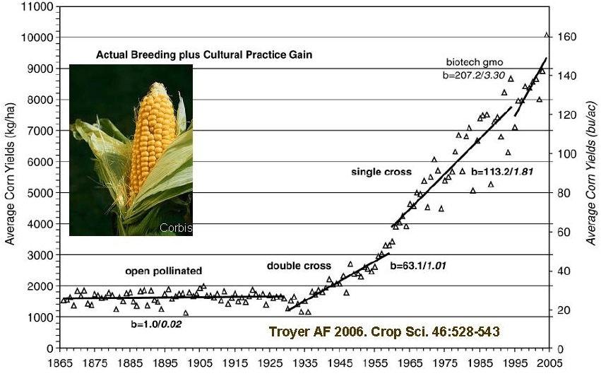 changes in cultural practices possible). What is evident is that yield has increased at a faster rate in the biotech era.