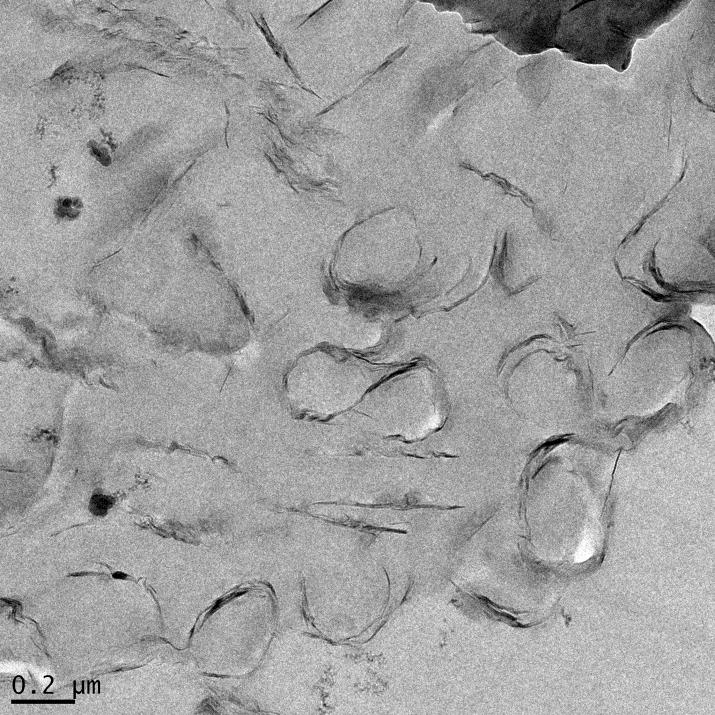 microgels in spherical shapes which are surrounded by several tactoids of clay.