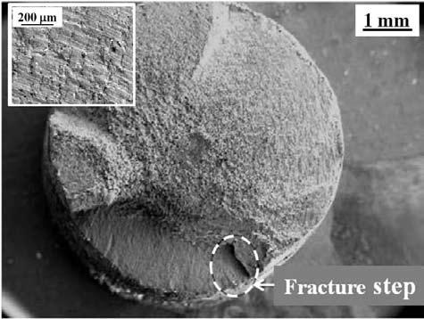 Figure 4: Micrograph of a typical fracture surface of a TiO 2 -coated specimen failed under cyclic fatigue regime.