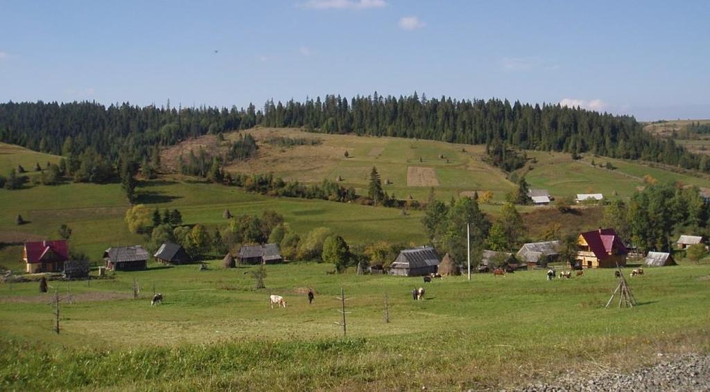 of the Carpathian Mountains; illegal