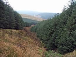 Results important role of woodlands for the development of upland areas