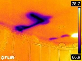 The infrared image included shows a pattern consistent with moisture pooling below the tub and sink drains.