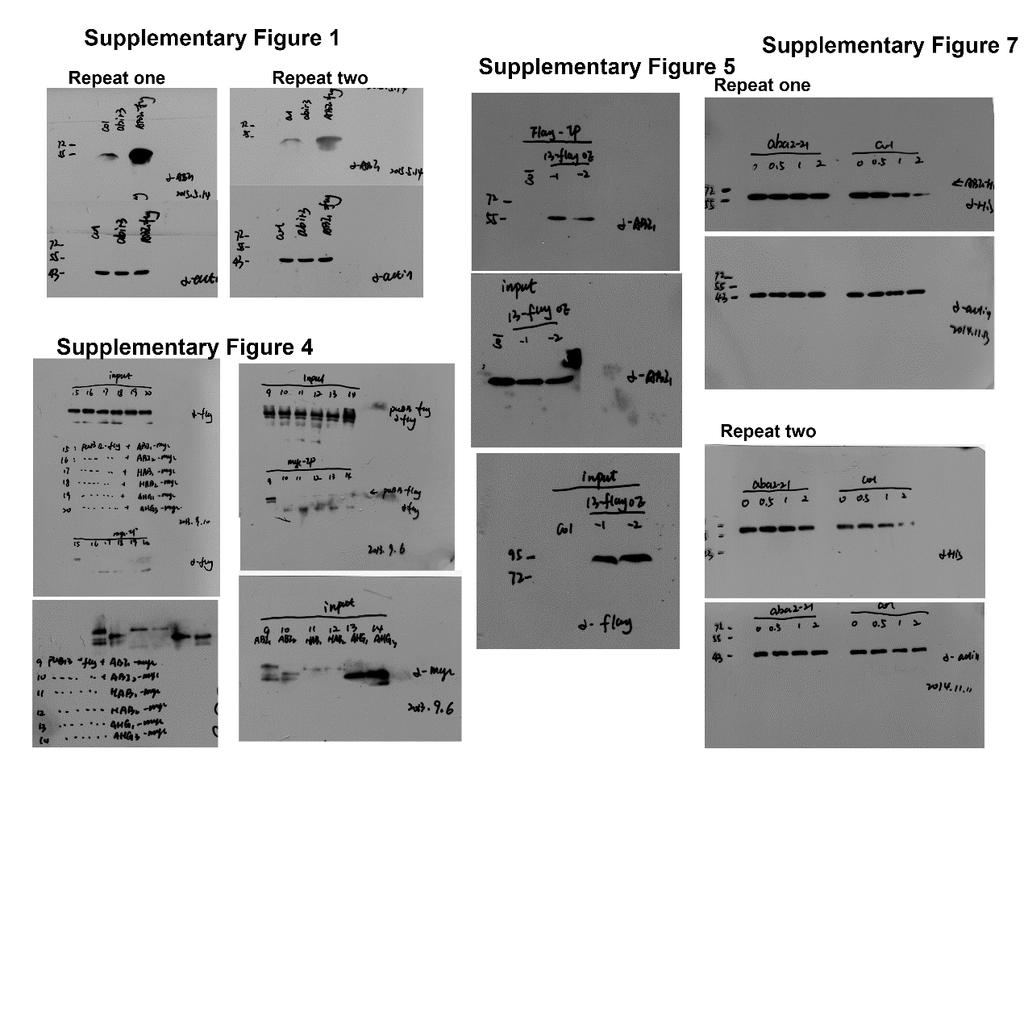 Supplementary Figure 1, 4, 5, 7.