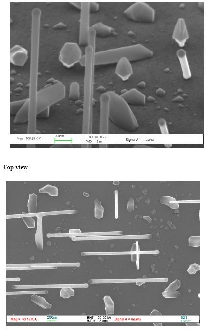 GaAs Nanowires with Al 2 O 3 Coating by ALD at SVT