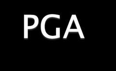 NCBFFA via GAC Committee creating PGA Filer Guidelines to supplement Implementation Guides (technical) New Data Elements Intended Use Codes, Source Type Codes, Units of Measure, Correlate PGA data to