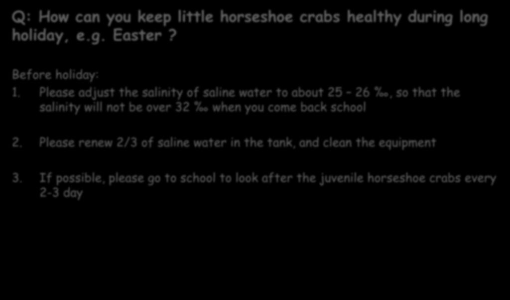 E. Reminder Q: How can you keep little horseshoe crabs healthy during long holiday, e.g. Easter? Before holiday: 1.