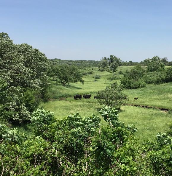 Landscape Stewardhsip Plans Stakeholders in Minnesota have used the guidance from the USDA Landscape Stewardship Guide to develop slightly smaller scape Landscape Stewardship Plans (LSP), These LSPs