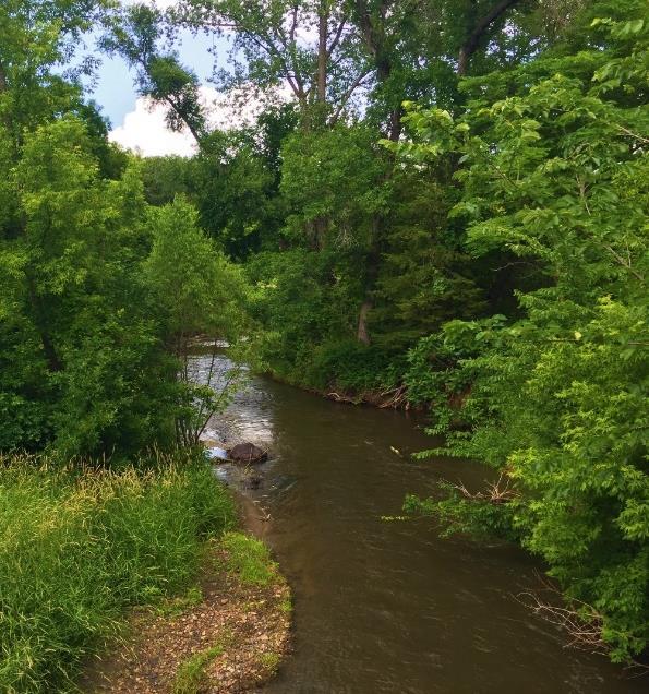 example, while the Cannon River LSP was being developed, the Minnesota Pollution Control (MPCA) was concurrently developing a Watershed Restoration and Protection Strategies (WRAPS) plan for the