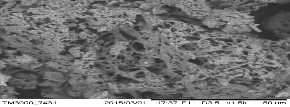 SEM Photograph of Powdered pellet Formulation F7 at 2 nd Hour Figure 22: SEM Photograph of Powdered