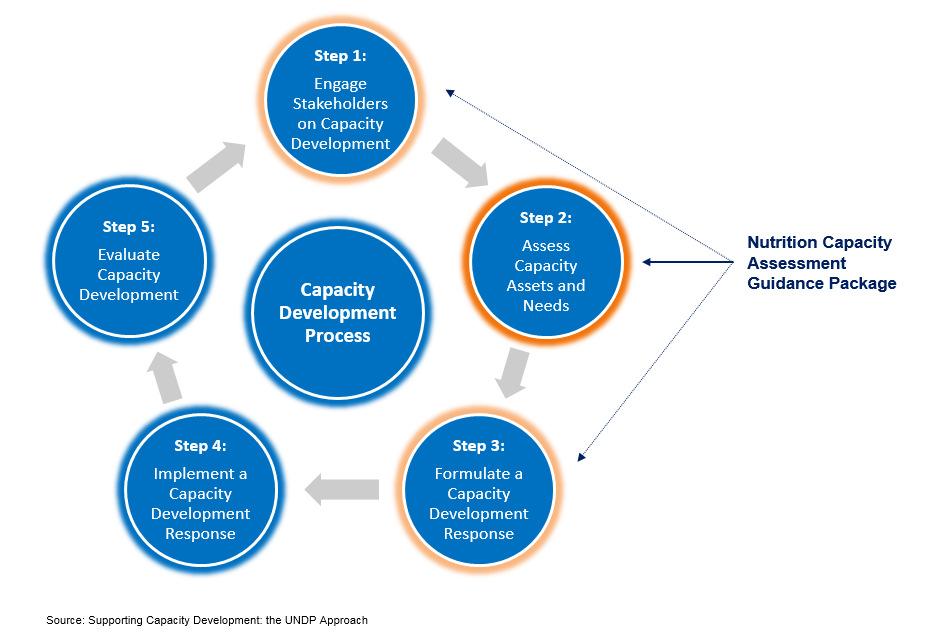 2 Capacity Development Process 2.