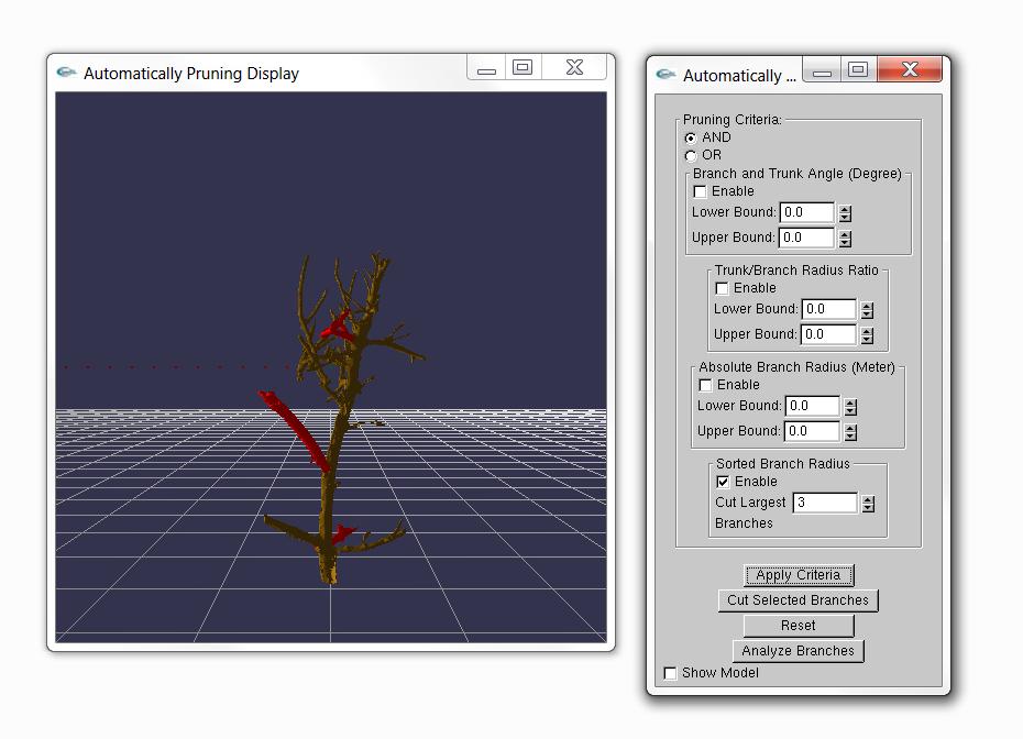 Automated Pruning III: Visualize the Model Automatic