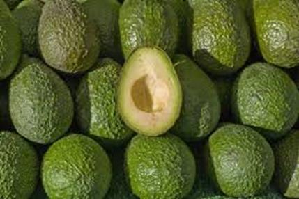 Avocado Market Trends and Prices March 2015 Market trends March 2015 Low arrivals and calm demand characterized the first half of the month.