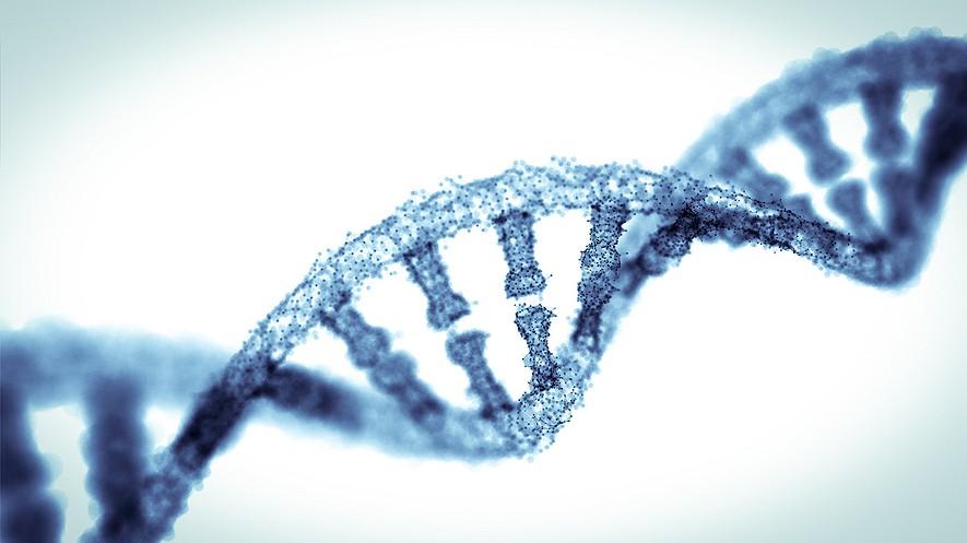 Explainer: What is a gene? By The Conversation, adapted by Newsela staff on 03.29.17 Word Count 1,016 Level 1050L TOP: DNA is found in the form of a double helix.