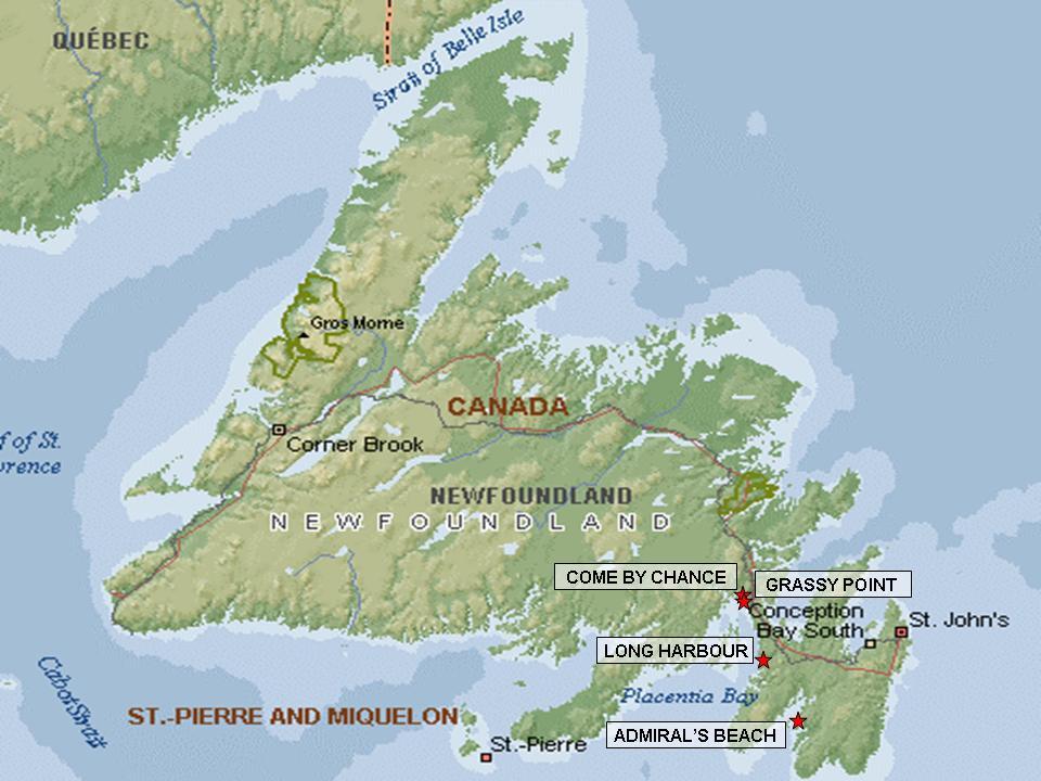 Detailed Asset Evaluation Description of Grassy Point Site - Terrestrial Physical Environment: The Grassy Point site extends from Grassy Point in the south, to Whiffen Head in the north, both of