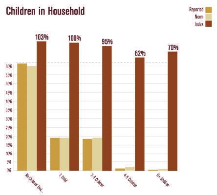Website Metrics 13 Children in Household The website is reporting that 62% of site visitors do NOT have children or a child in their house who are 18 years or younger.