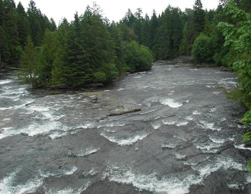 Puntledge River System Typical fall/winter/spring operations: Release minimum of about 32-33 m3/s from Comox Dam: 5.