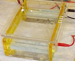 An electrophoresis chamber and